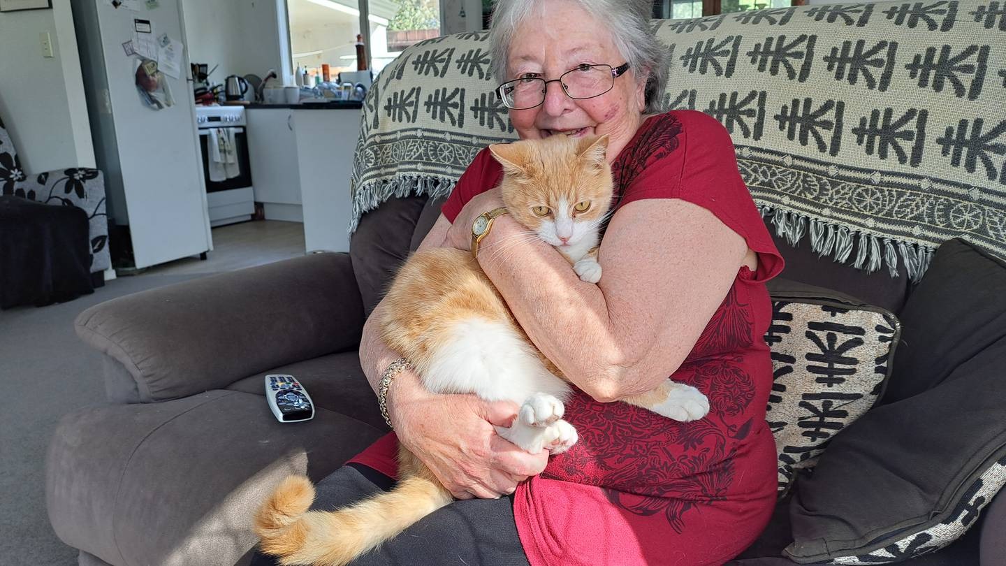 A win-win situation: New programme pairs unwanted adult cats with the elderly